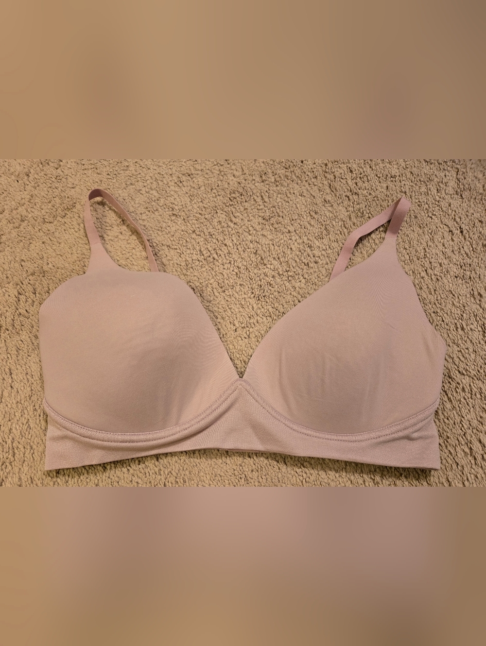 Sofia Vergara Bra